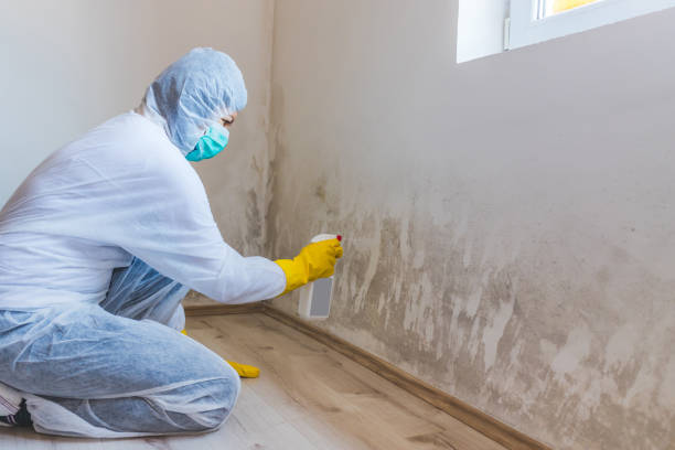 Bathroom Mold Removal assessment in West Point bathroom
