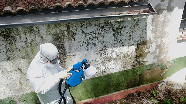 Mold Removal service in West Point